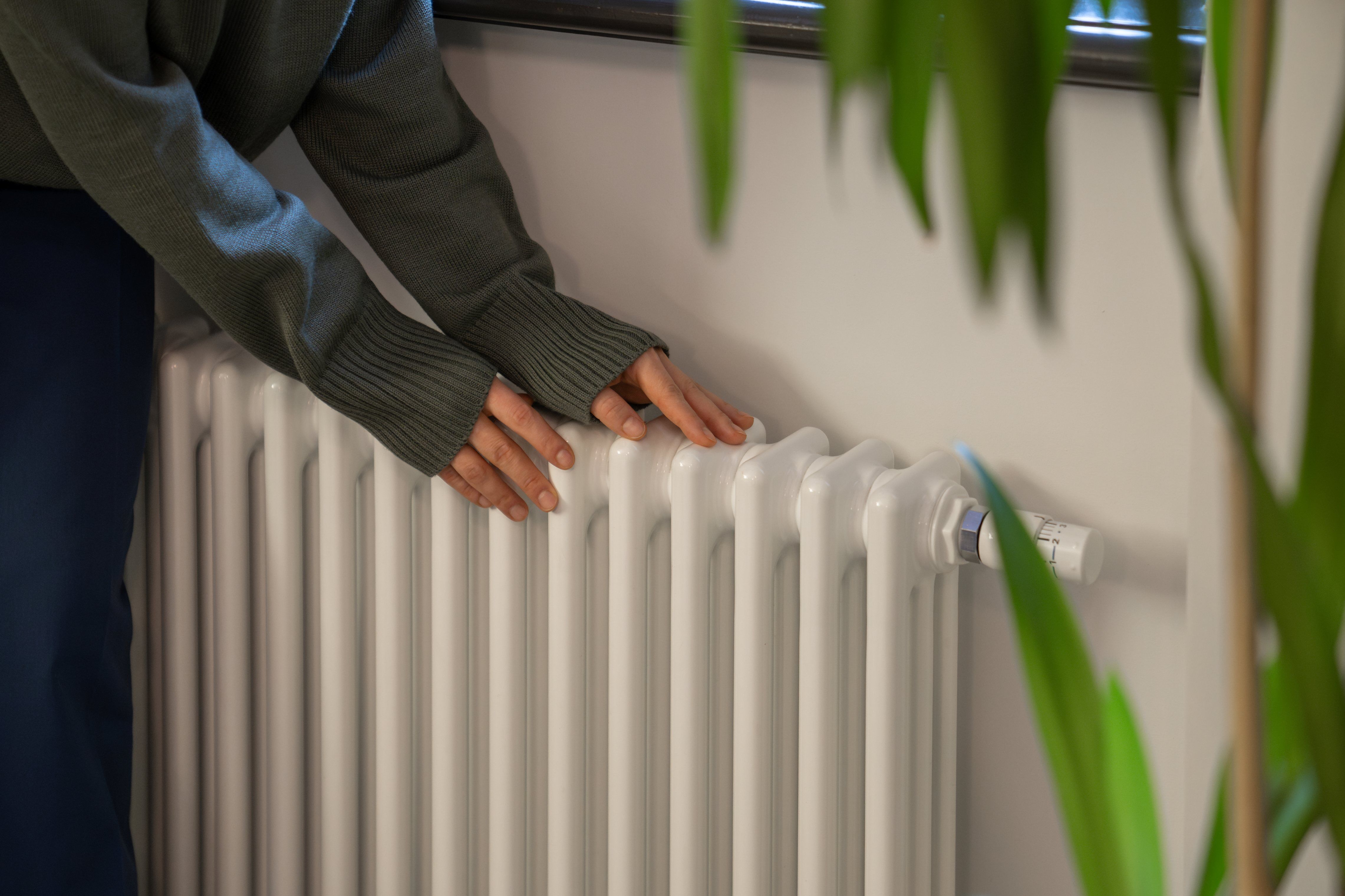 Bimstore Products for Cold Weather Collection
