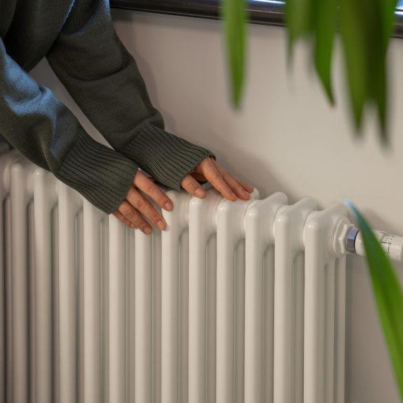 Bimstore Products for Cold Weather Collection