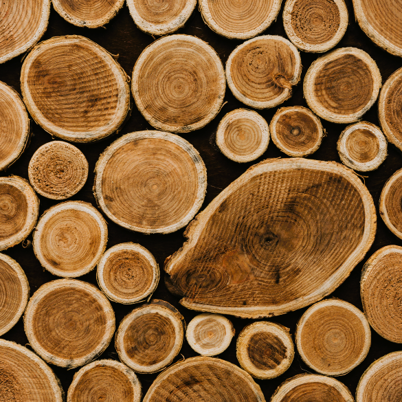 Bimstore Timber Wood Collection