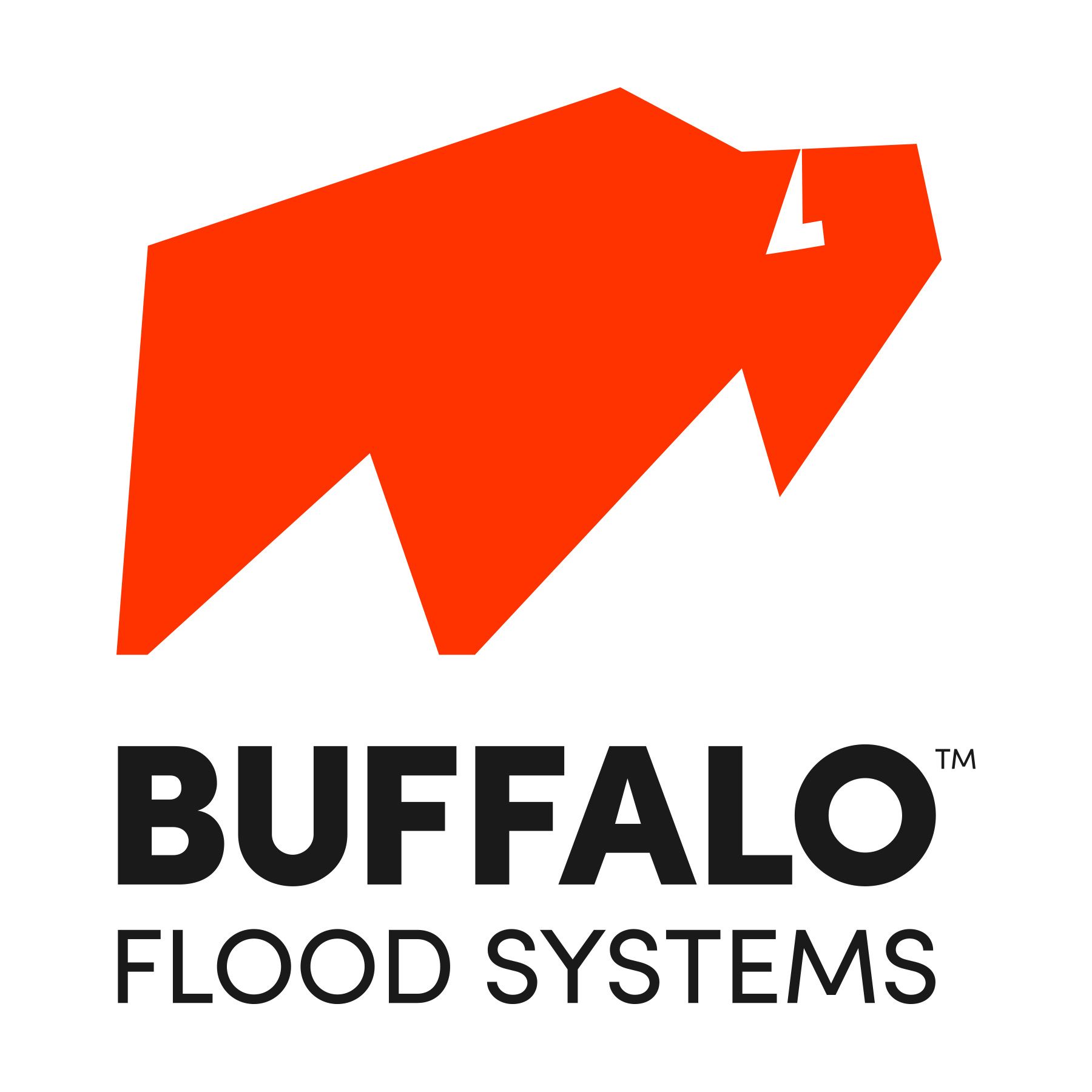 Logo: Buffalo Flood Systems