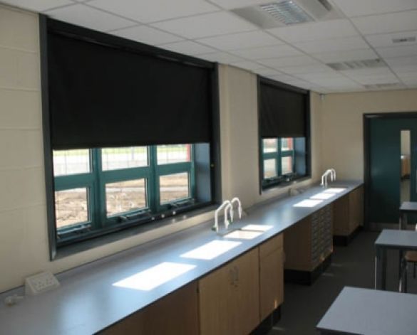 Decor 550 Blackout Blinds