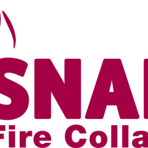 Logo: Snap Fire Systems