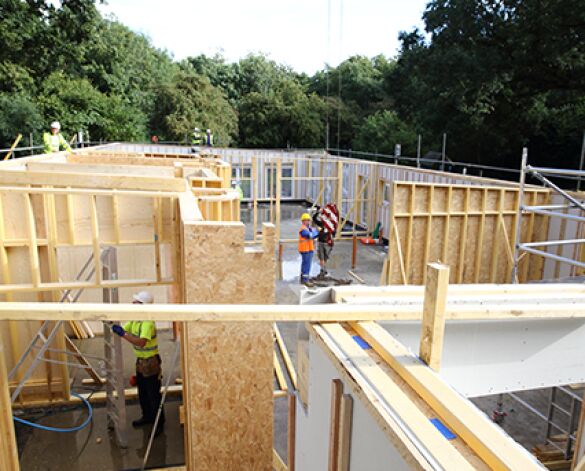 Bim, content,object,component,BIM, Store, Revit, stewart,milne,timber,systems,frame,internal,partitions,walls,prefabricated,walling,fire,acoustic,compliance,service,load,bearing,