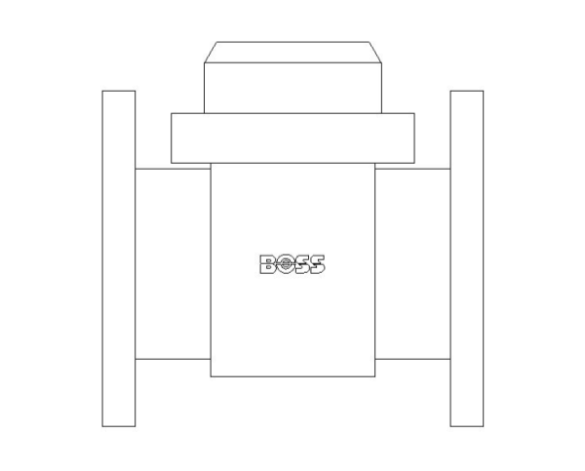 bimstore front image of the Woltmann Water Meter - 38CMWF from Boss