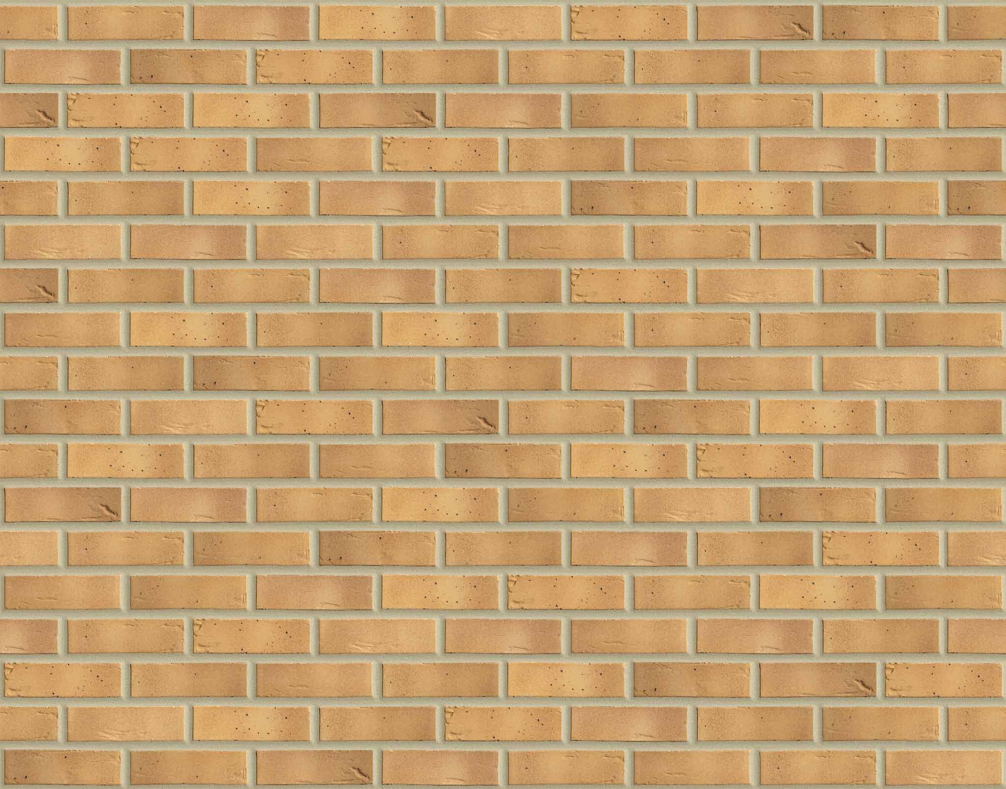 Product: Burwell Buff