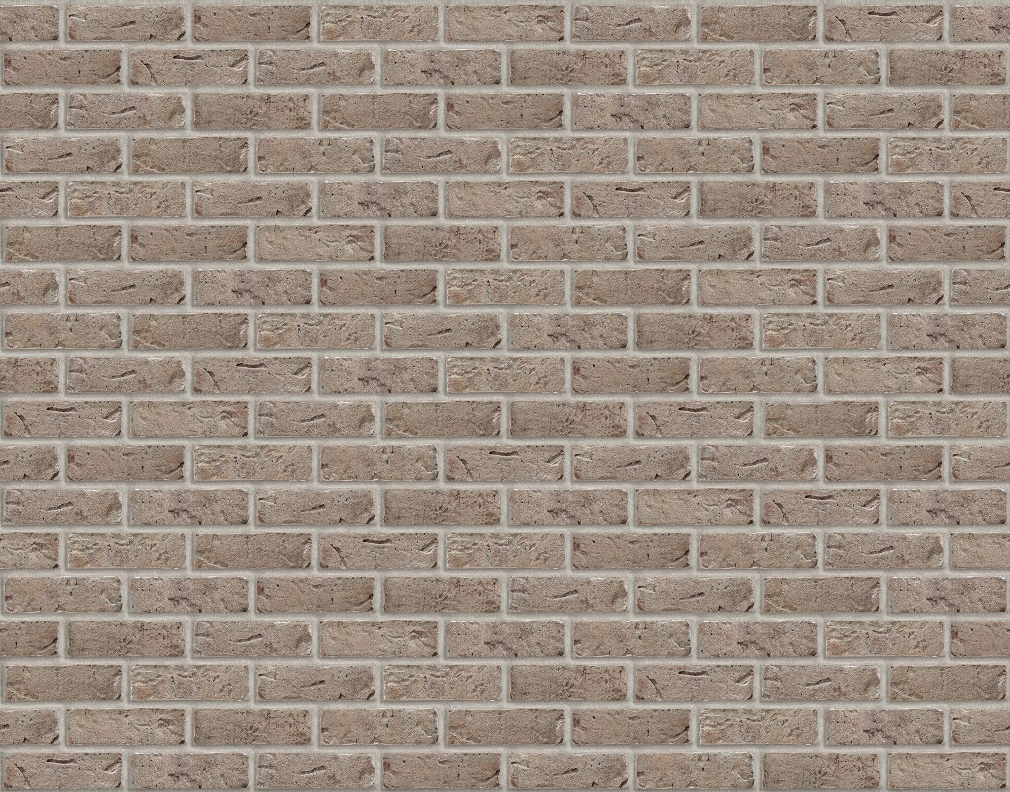 Product: Granite Ash Facing Brick