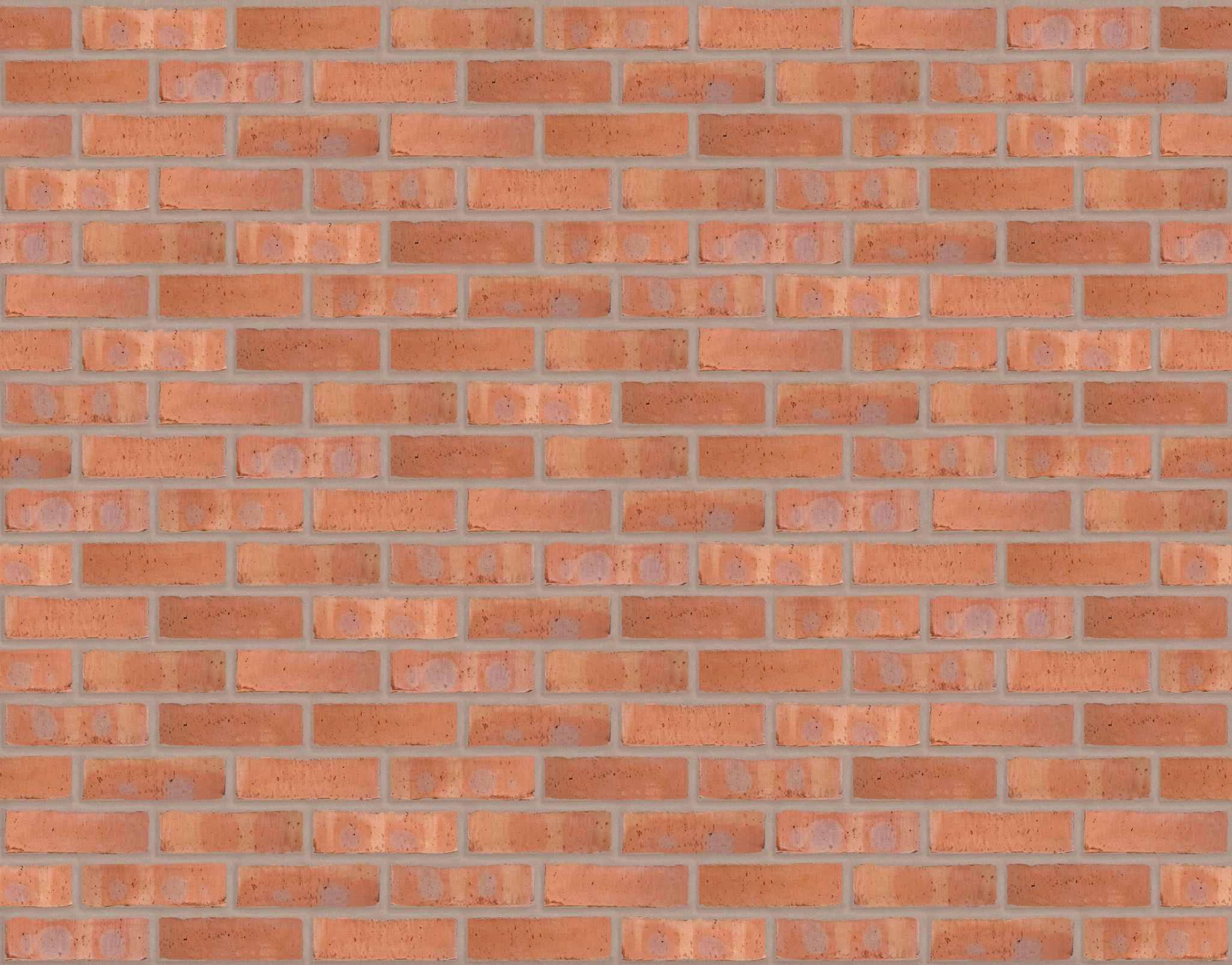 Product: Shelton Russet Facing Brick