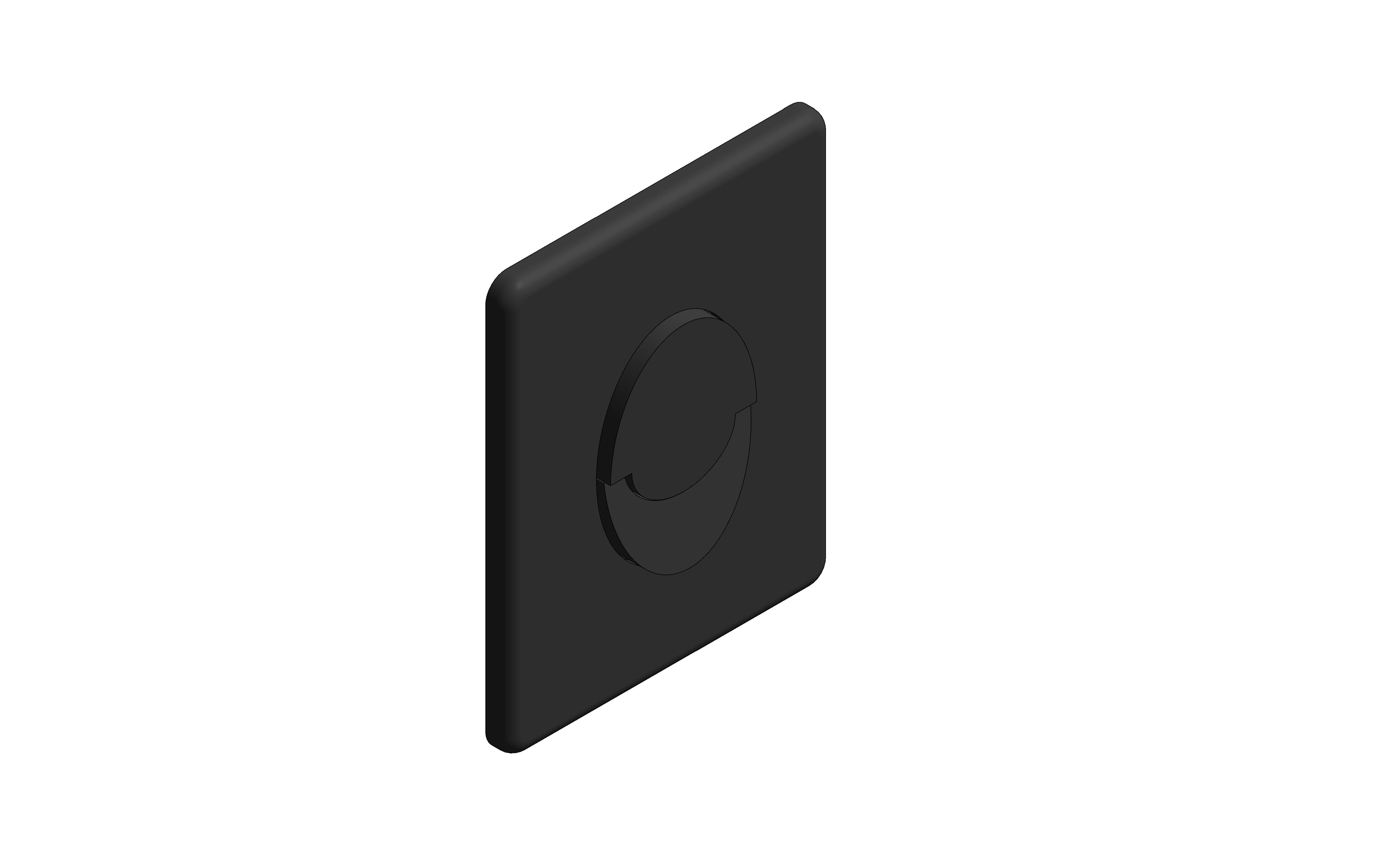 Product: SKATE AIR Flush Plate (38505KF0)
