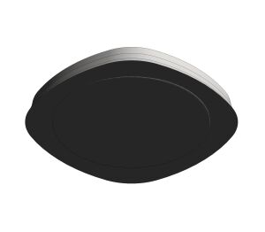 Product: RAINSHOWER Grandera 210 Headshower (26898IG0)
