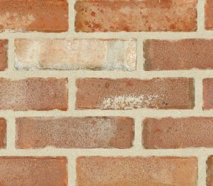 Product: Floren - 65mm Gothiek