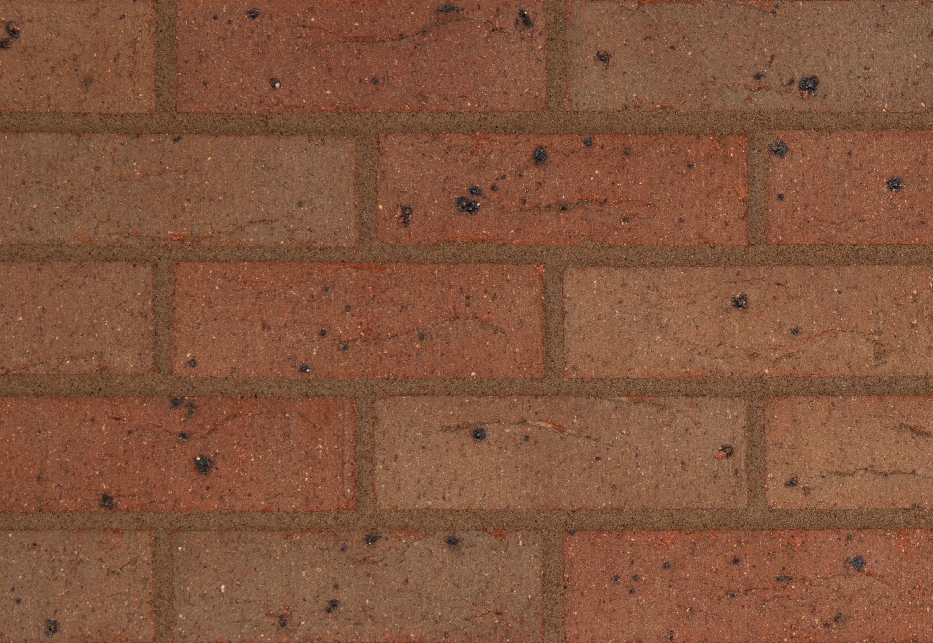 bimstore image of the Michelmersh - Blockleys - Lakeland Mixture