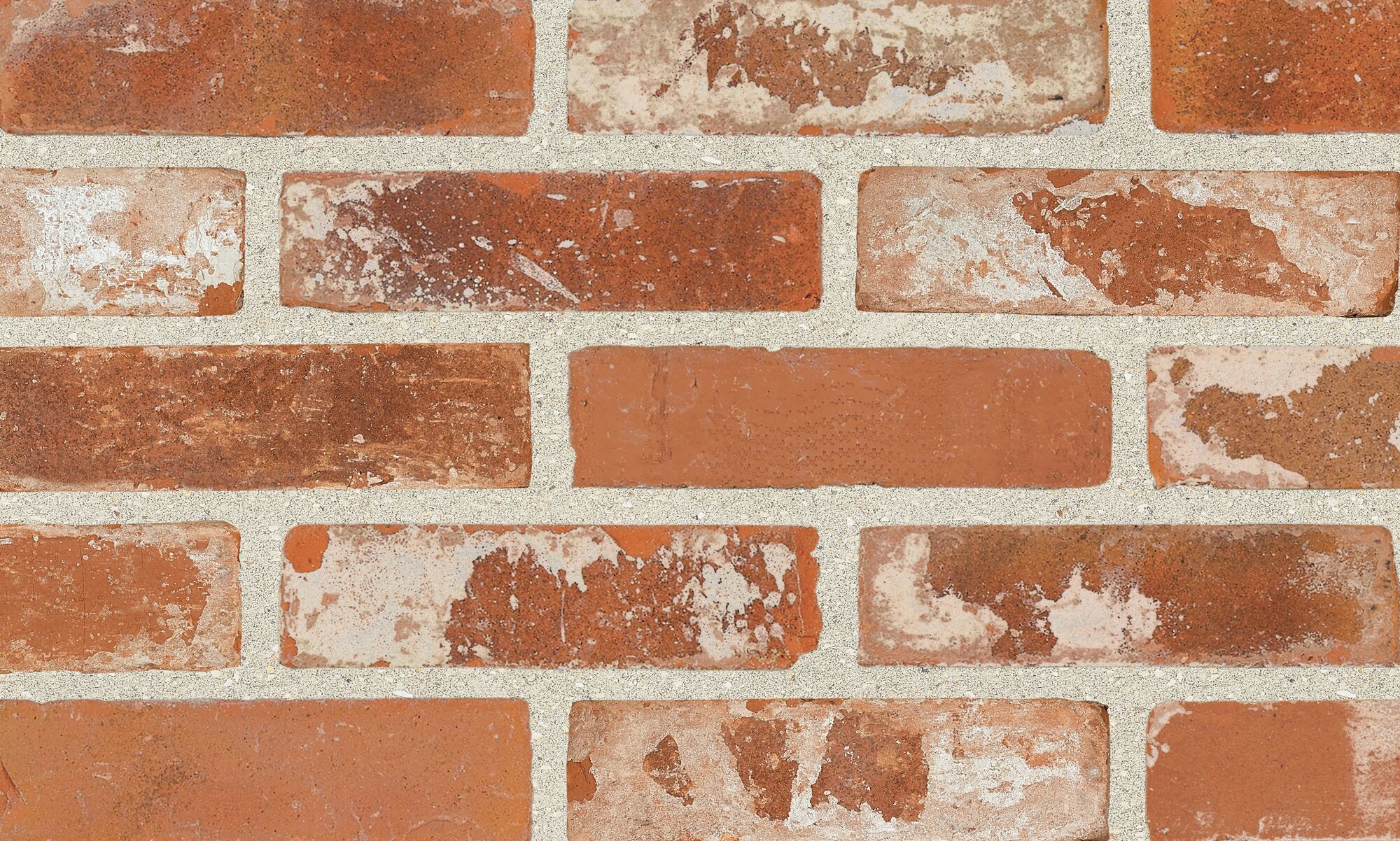 Product: Floren - 65mm Chianti