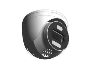 Product: CCTV Camera (Truman)