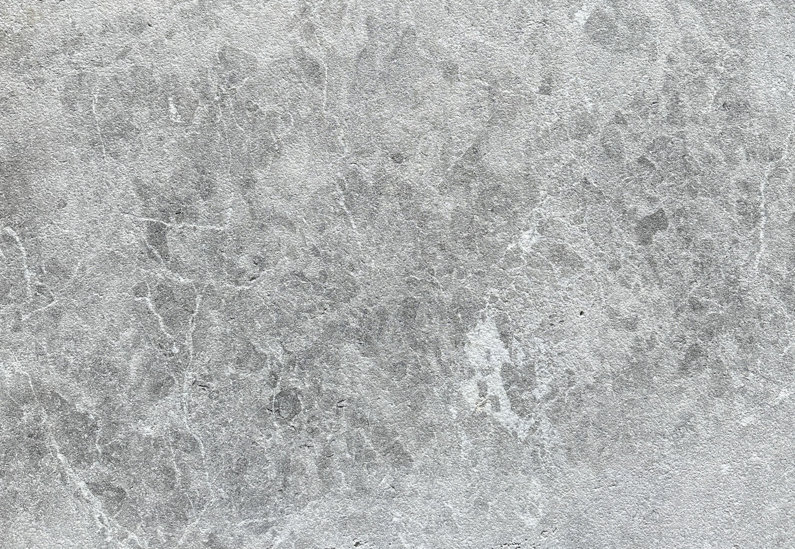 Image of Limestone - Tundra Grey Sandblasted Pavers