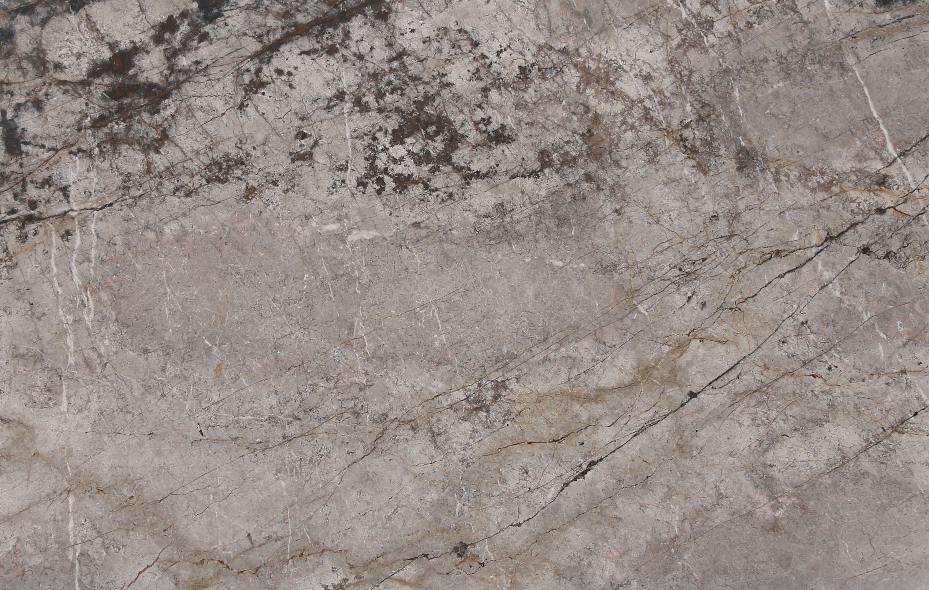Image of Silver Root Slab