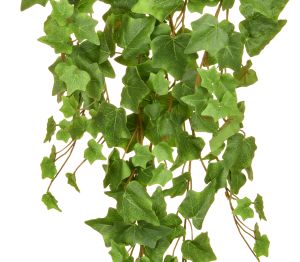 Product: I & T Ivy Trailing Green 86cm FR-S2