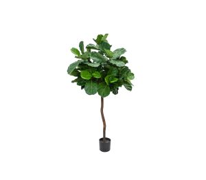 Product: NTT Natural Trunk Fiddle Tree 220cm FR