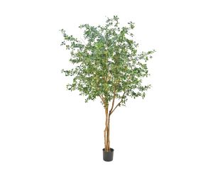 Product: NTT Olive Oriental KDP 300cm FR-S1
