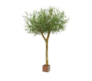 Product: NTT Olive Tree 300cm FR-S1