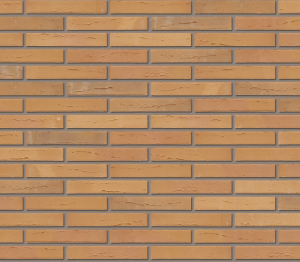 Product: Elignia Betula Facing Brick