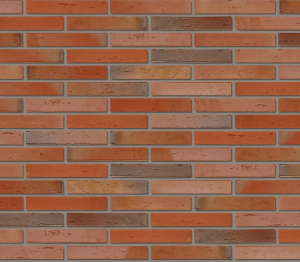 Product: Elignia Robinia Facing Brick