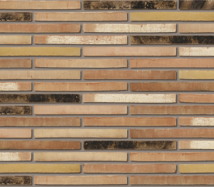 Product: Roman Dignita Facing Brick
