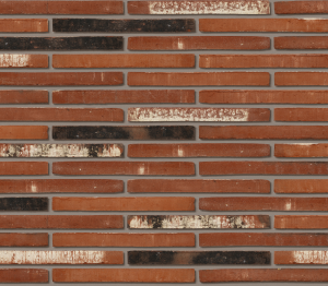 Product: Roman Fortuna Facing Brick