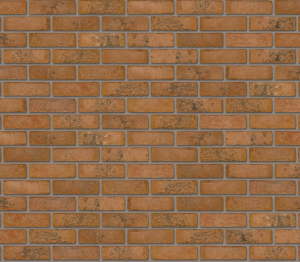 Product: Newfield Multi Facing Brick