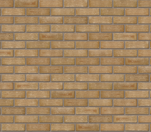 Product: Peak Madeira Blend Facing Brick