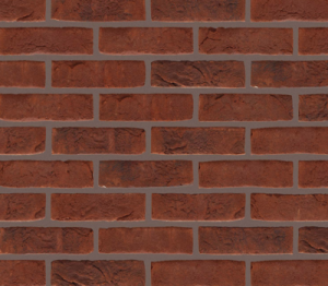 Product: Pampas Red Eco Brick
