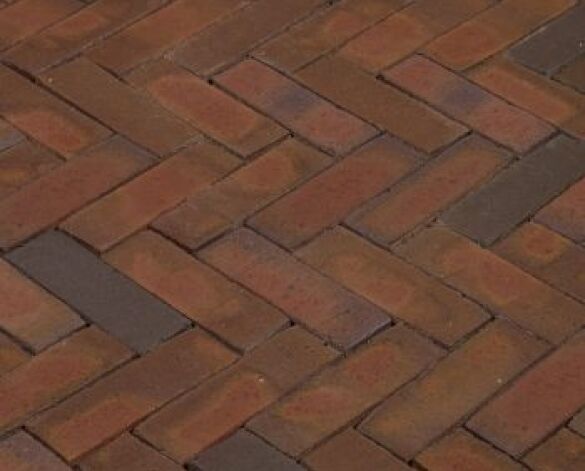 Product: Rosa Waterstruck Paving (DF, WF)