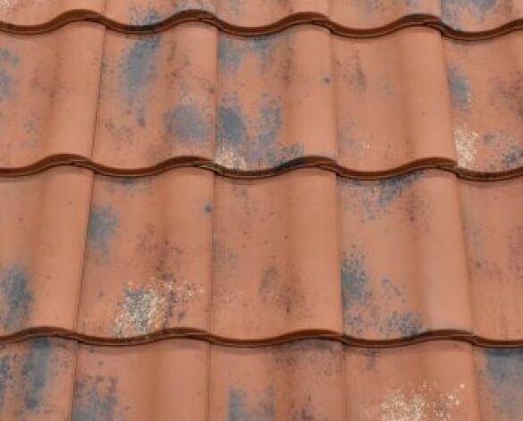 Product: Neo Plus Roof Tile