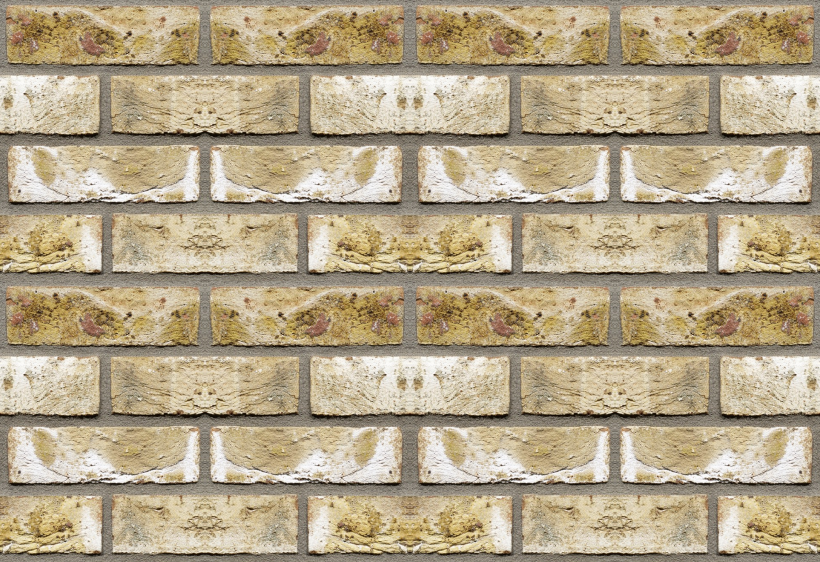 Product: Con Mosso Facing Brick