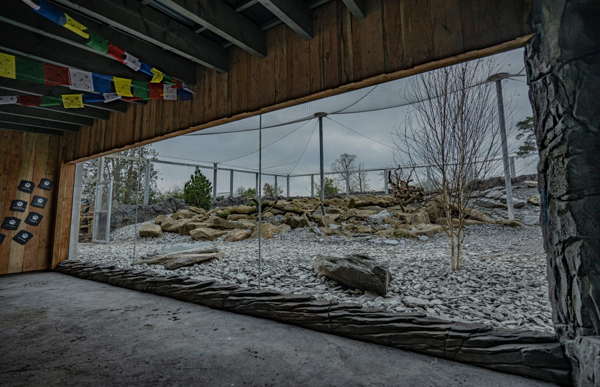 Wienerberger and Chester Zoo Snow Leopard Room