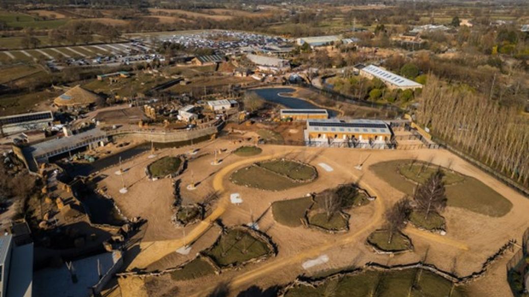wienerberger Supports Chester Zoo